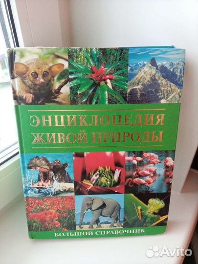 Большая энциклопедия о животном мире