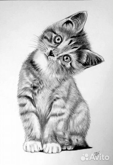 Котенок в добрые руки