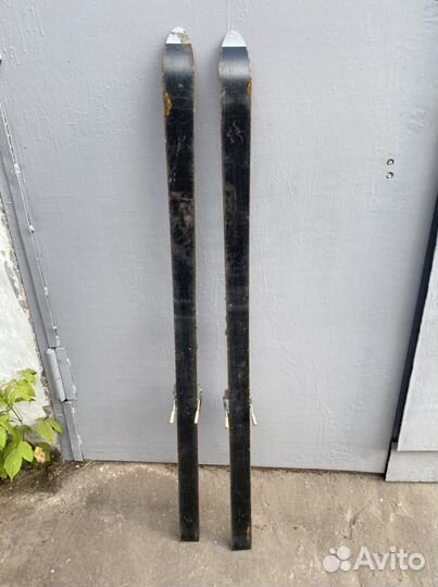 Горные лыжи mladost