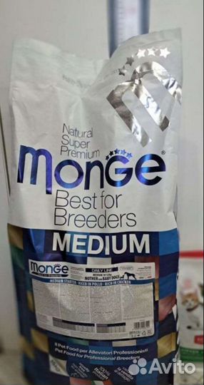 Корм для кошек и собак