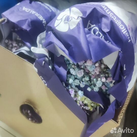 Цветы оптом Гипсофила