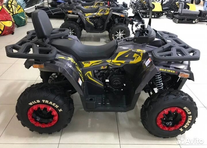 Квадроцикл Motoland Wild Track X 200 черно-красный