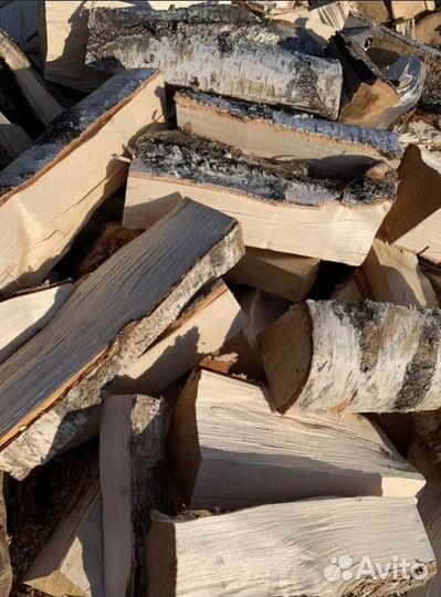 Дрова береза