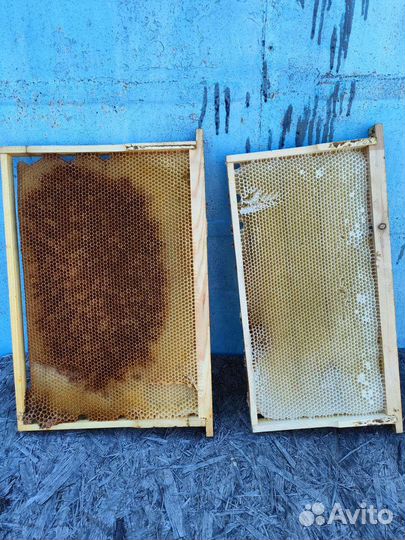 Все для пчеловодства