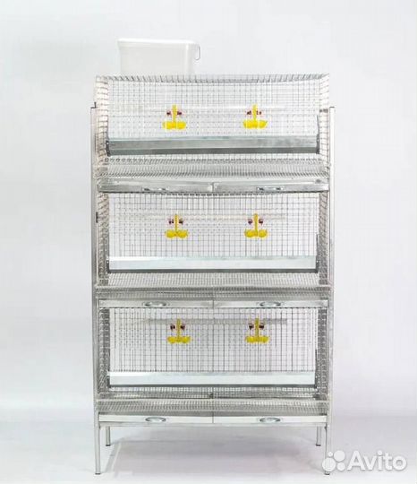 Клетка для 30 кур-несушек «Стандарт»