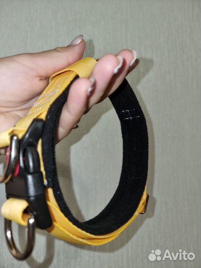 Амуниция для собак