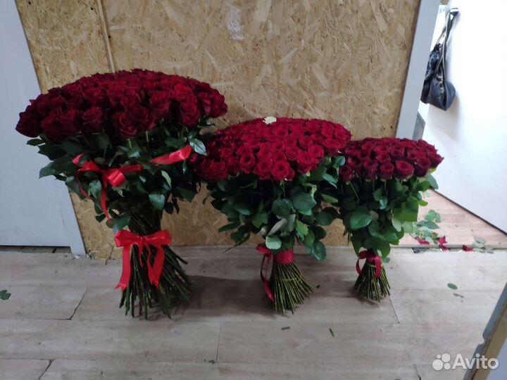 Роза букет розы букеты 51штук 101 штук