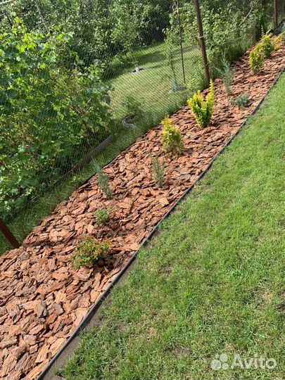 Мульча, кора кедровая