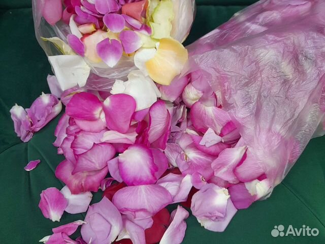 Лепестки роз