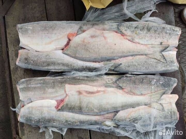 Нерка пбг оптом