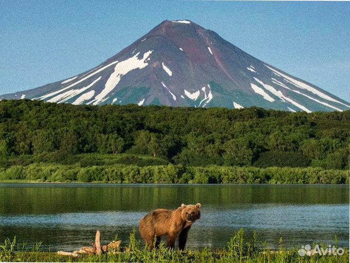 Тур авторский Камчатка летний от 7-ми до 9 дн