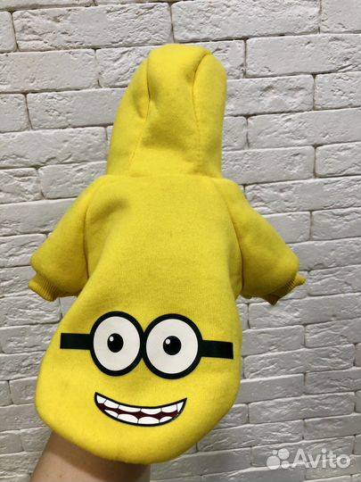 Толстовка для собак мелких пород S