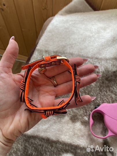 Ошейник и поводок для собачки