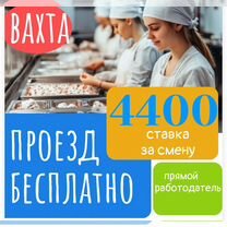 Упаковщики в цех полуфабри�катов. Вахта. Проезд