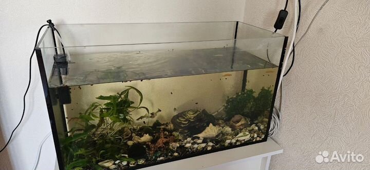 Продам аквариум с рыбками