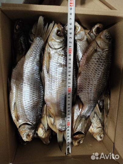 Вобла с доставкой сегодня Москва