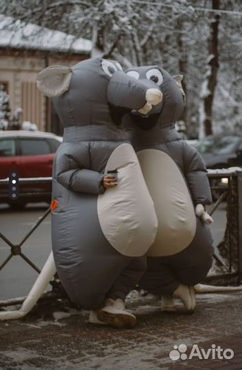 Костюм крысы мыши