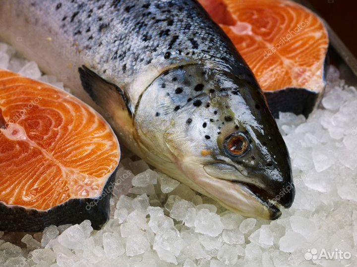 Франшиза рыбного магазина: прибыльный бизнес