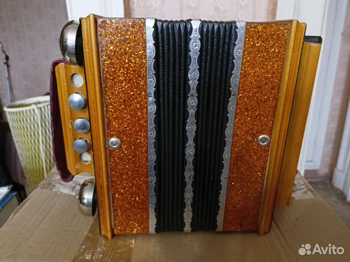Саратовская гармонь