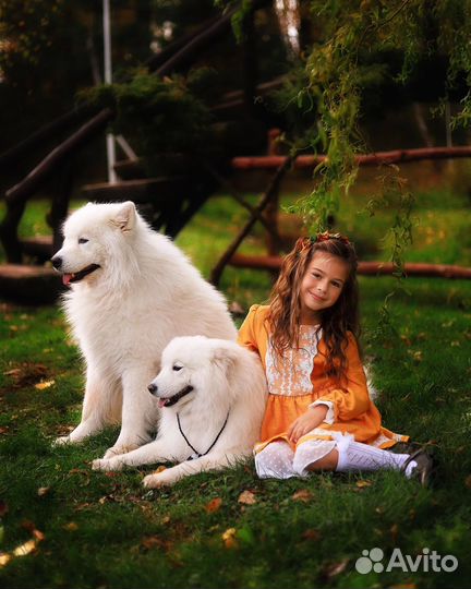 Свадебный,семейный и детский фотограф