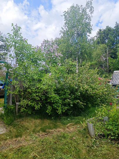 Дом 50 м² на участке 10,6 сот.