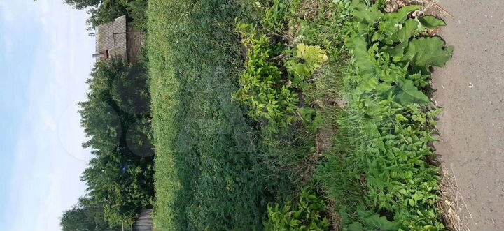 Участок 10 сот. (ИЖС)