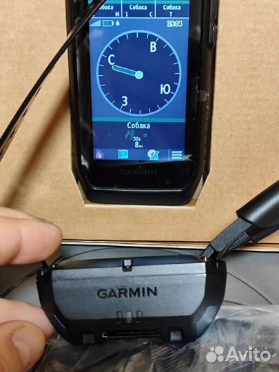 Garmin Alpha300 и Ошейник версия США