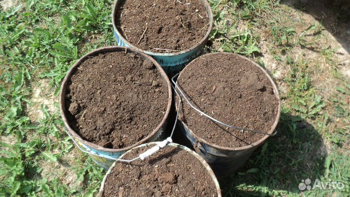 Навоз перегной опилки