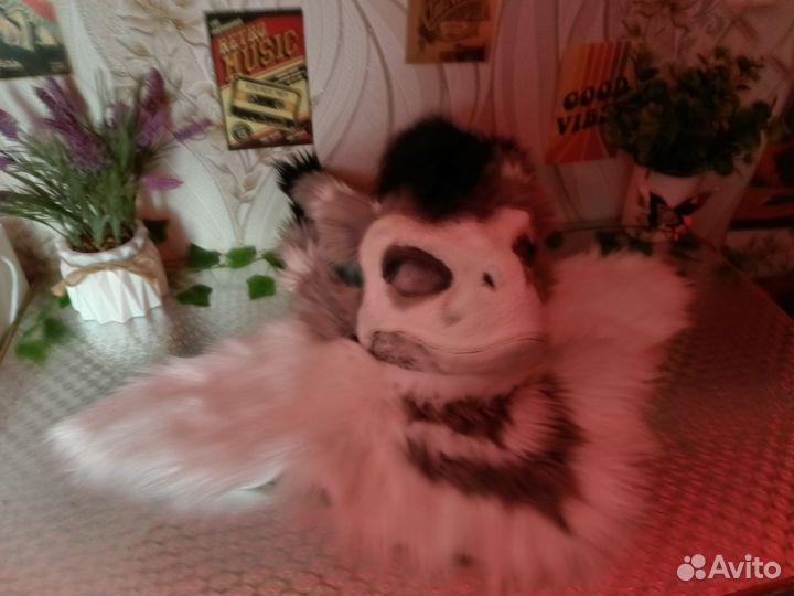 Маска раптора фурсьют