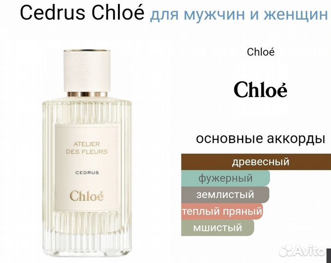Chloe Cedrus 50мл