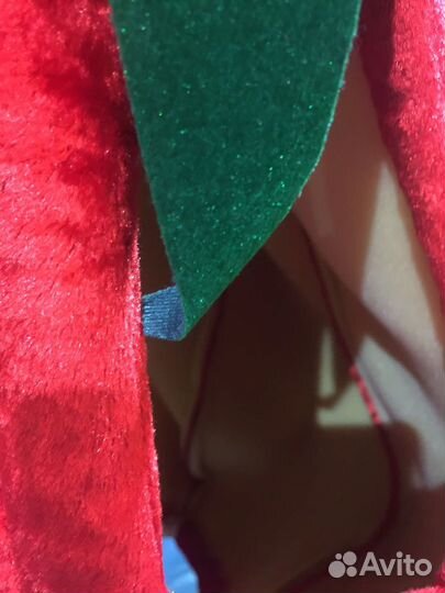 Костюм помидора