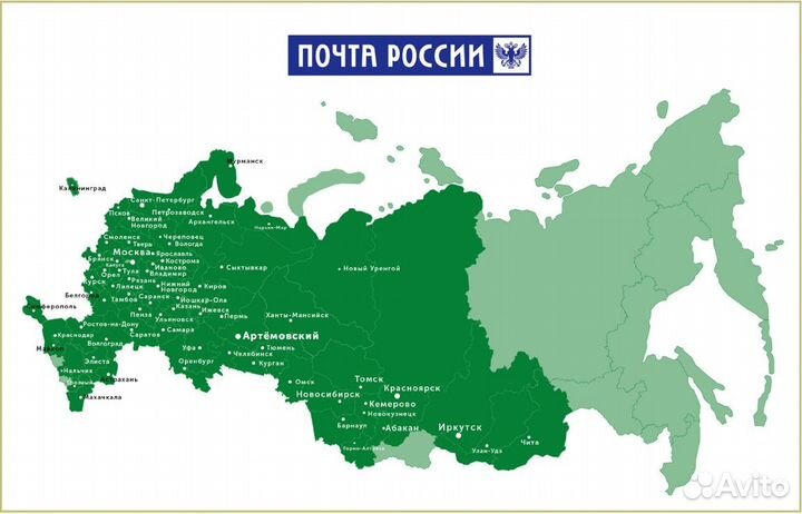 Азалия Сатоми - саженцы зкс, питомник Сады Урала