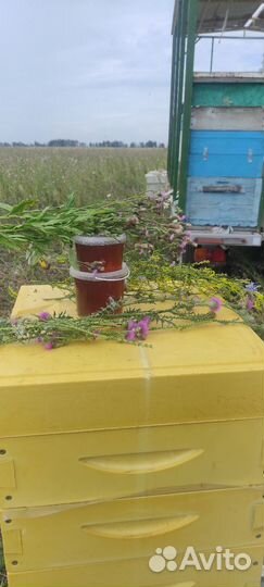 Натуральный мёд- ореховый микс