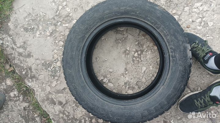 Nord Wolf Cargo 195/65 R15