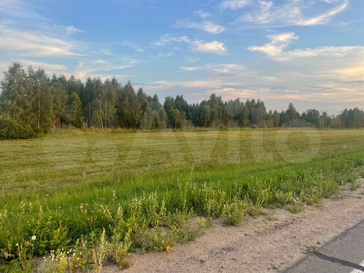 Участок 112,36 га (СНТ, ДНП)