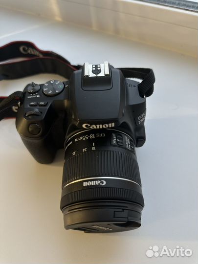 Фотоаппарат canon eos 250d