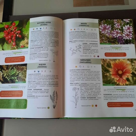 Книга о цветах- Библия цветовода