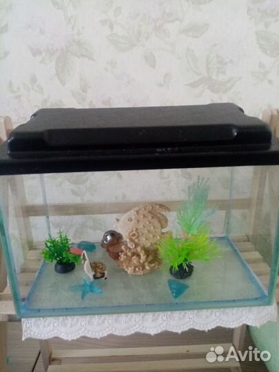 Аквариум 5л