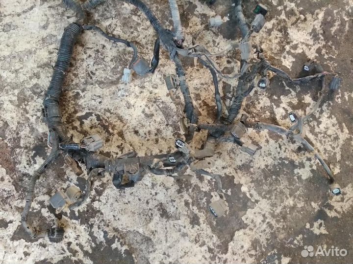 Проводка подкапотная Infiniti FX45 24012CG210