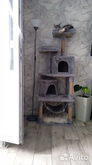 Домик для кошек