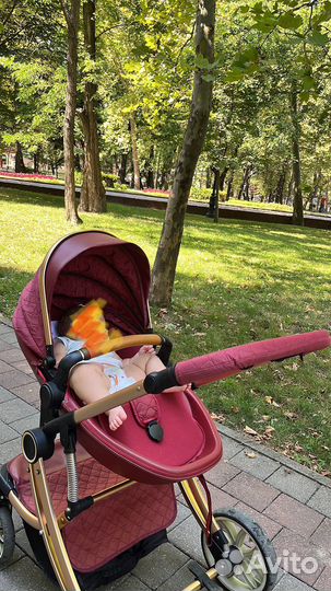 Коляска 2в1 Skillmax TL110-K