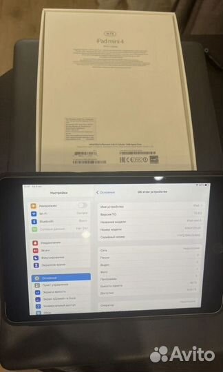 iPad mini 4 cellular