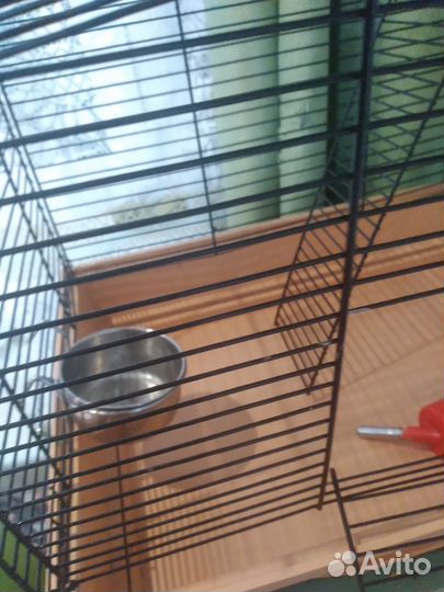 Клетка для крысы