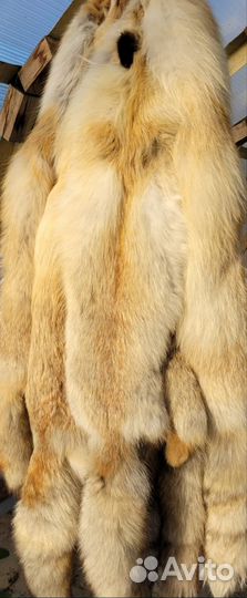 Шкура лисы