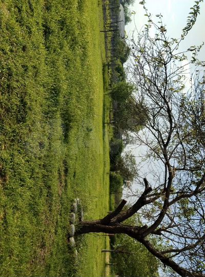 Дом 96 м² на участке 11 сот.