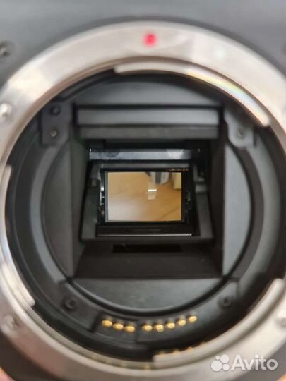 Зеркальный фотоаппарат Canon 80D