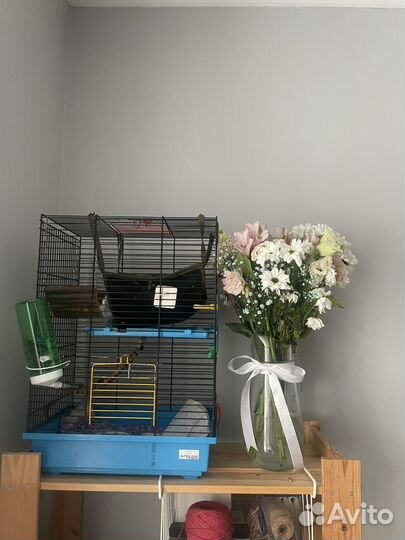 Почти новая клетка для грызуна