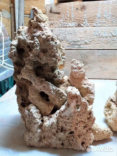 Декор для аквариума