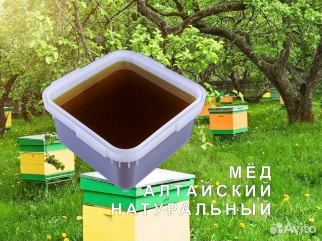 Мёд натуральный алтайский опт
