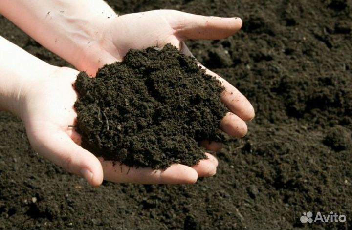 Почвенно-растительный грунт